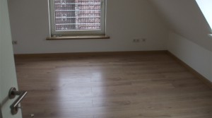 DSCF6517