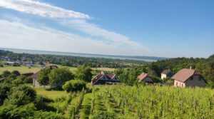 Preissenkung ! Großes Grundstück, geräumiges Haus mit Pool und schönem Fernblick