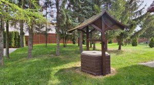 Jawor-dom-z-pieknym-ogrodem-sw
