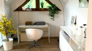 Chocianow-dom-wolnostojacy-z-d