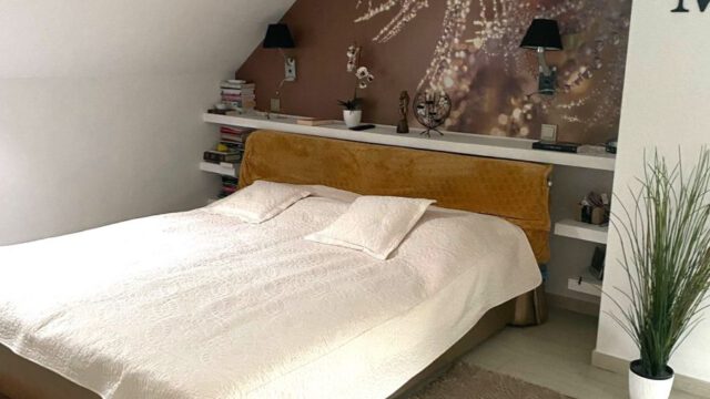 Chocianow-dom-wolnostojacy-z-d