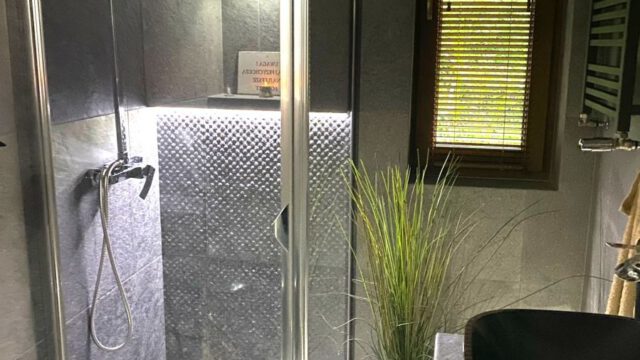 Chocianow-dom-wolnostojacy-z-d