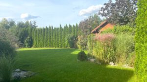 Chocianow-dom-wolnostojacy-z-d