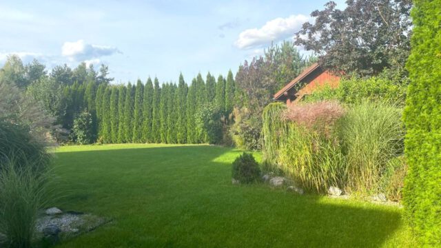 Chocianow-dom-wolnostojacy-z-d