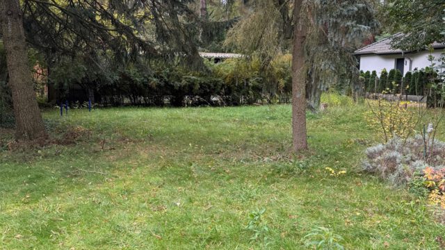 Baugrundstück Bild 3