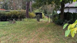 Baugrundstück Bild 8 Blick Str