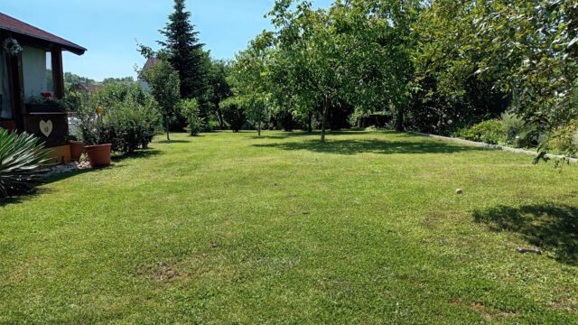 PHOTO-2026-03-27-15-54-47