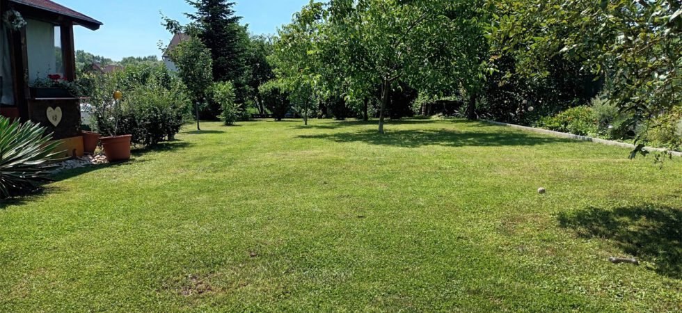 PHOTO-2026-03-27-15-54-47