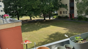 Gepflegte, vermietete Wohnung mit Duschbad und Balkon in ruhiger Lage + provisionsfrei für den Käufe Gepflegte, vermietete Wohnung mit Duschbad und Balkon in ruhiger Lage + provisionsfrei für den Käufe